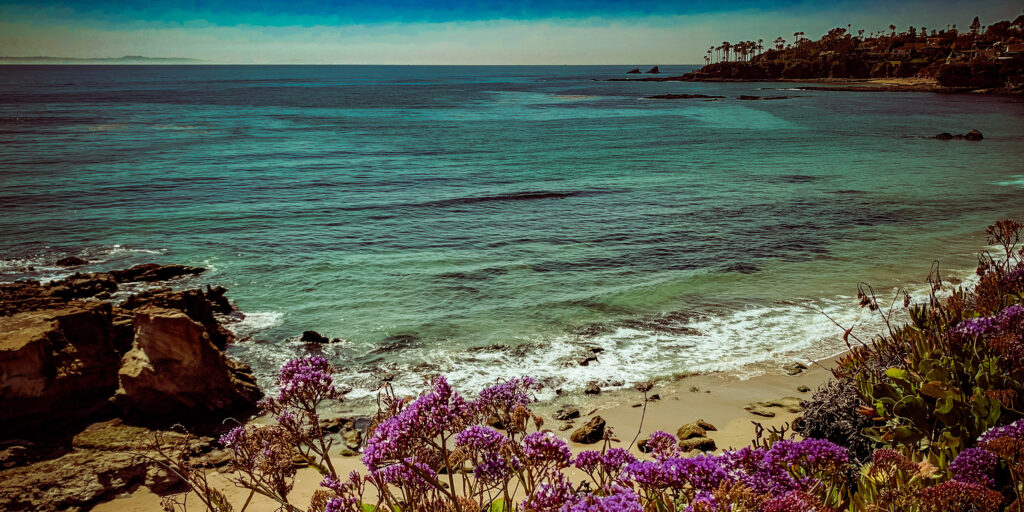 laguna-beach-overlook.jpg